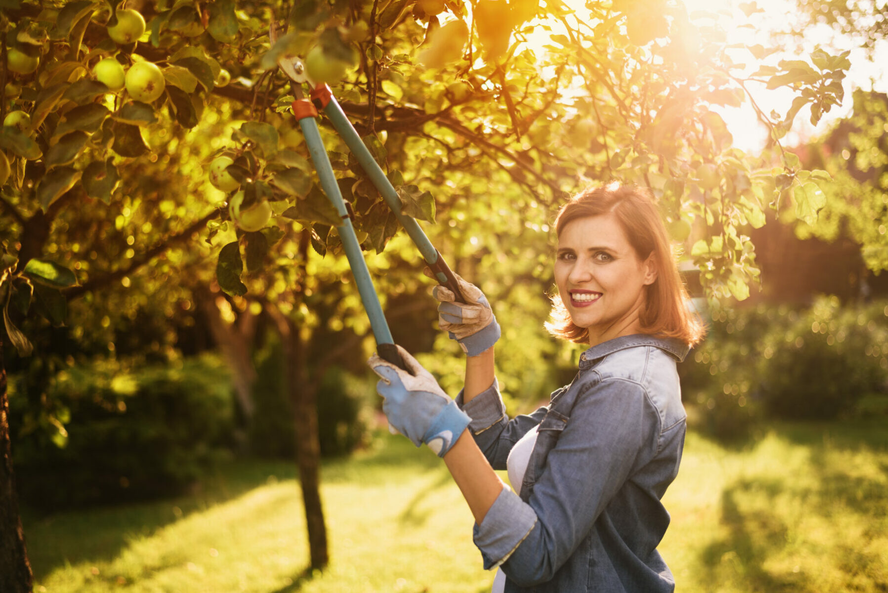 Summer Tree Care Checklist | Advanced Tree Care Services
