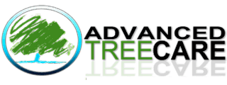 Advanced Tree Care | Personalized Tree Care Services